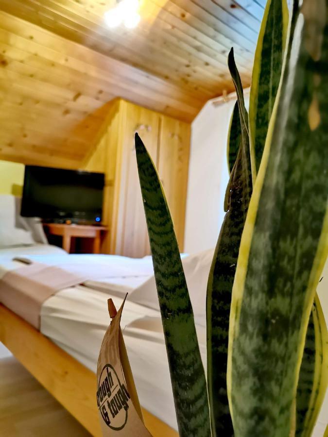 Hotel Hisa Erlah à Bohinj Extérieur photo